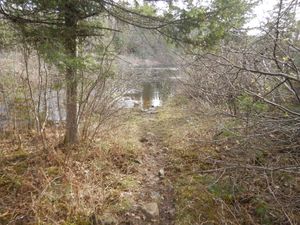 Isabella River portage upstream landing