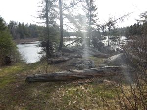 Isabella River camp #2232 fire grate