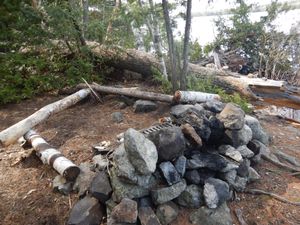 Bald Eagle campsite #1728