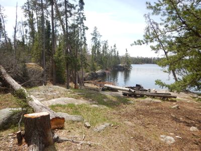 Gull Lake Island campsite #1740