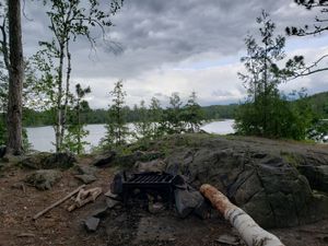 View from the fire grate