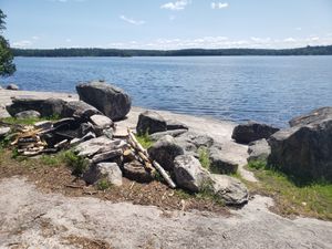 Someone was nice and left a bunch of wood