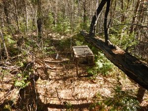 Abandoned firegrate