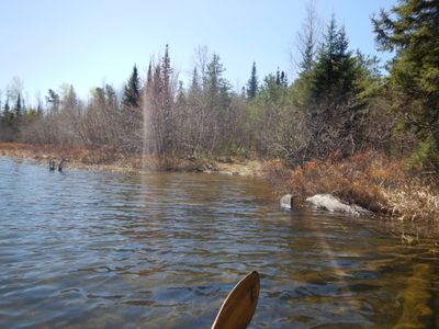 Clearwater landing