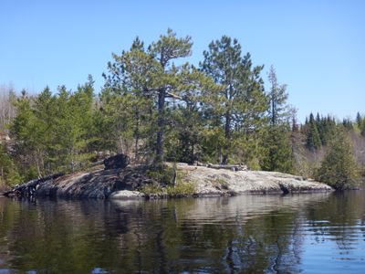 Turtle site #1732 from lake