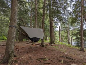hammock_at_Lynx1
