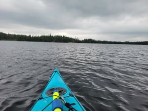 20230609_110511.jpg
