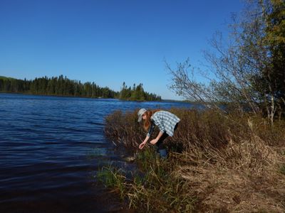 Catching frogs