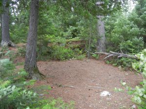 Campsite #1BF