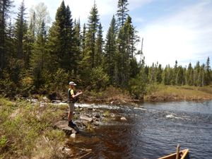 Aurora fishing the rapids