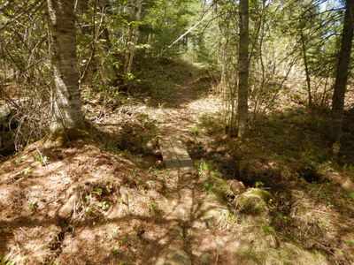 small foot bridge