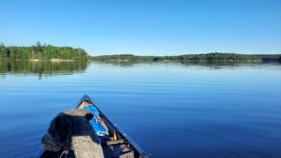 Calm July day on Pickerel Narrows