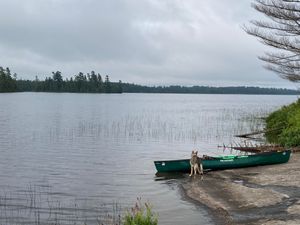 Gull Camp 1