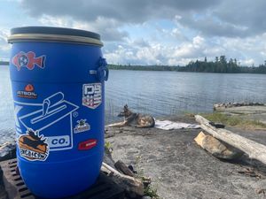 Gull Camp 2