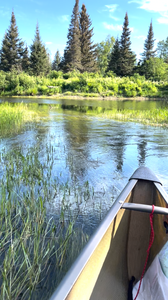 MackCreek_Wawiag