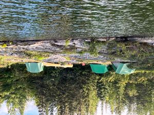 Campsite From Lake