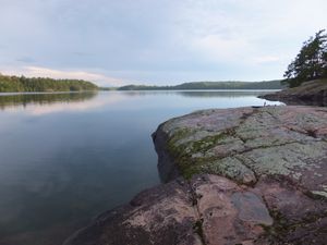 View to south, Robinson Lk, island site