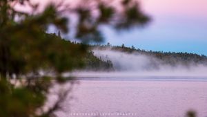 Pink Skies at Sunrise