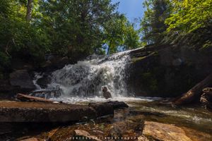 Swimming in the Falls