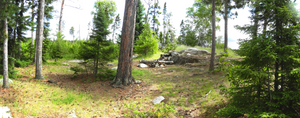 Campsite #1CE