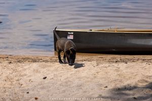 On Patrol