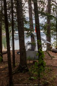Camp