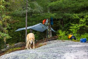 Drying Out