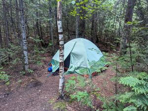 Campsite Tucked Away