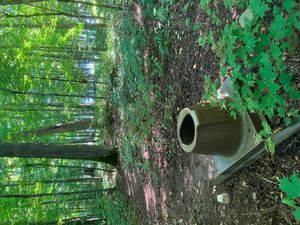 Latrine facing campsite