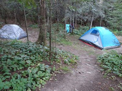 Two of the better tent sites