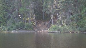 Karl - Long Island NE landing