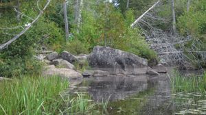 Long Island - Muskeg SW landing