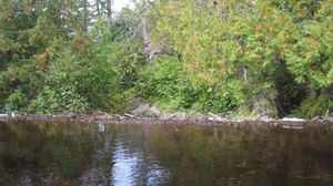 Long Island - Muskeg NE landing