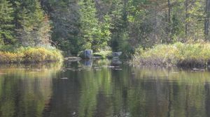 Muskeg - Kiskadinna NW landing