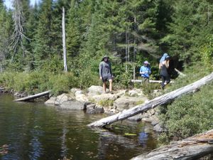 Muskeg - Kiskadinna SE landing