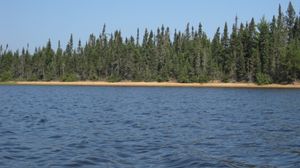 Frost Lake Beach