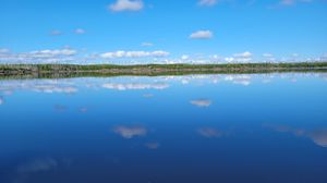 Reflection