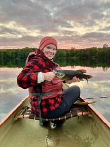 Smallmouth Bass on Mountain Lake