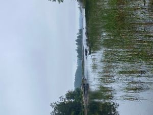 view of channel to site