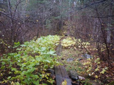 Boardwalk