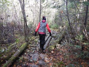 Boulders & boardwalk