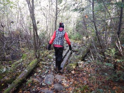 Boulders &amp;amp; boardwalk