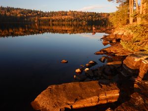 Shoreline rocks