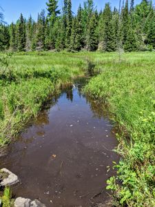 Muddy muddy portage