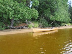 Beach on Oyster Lake