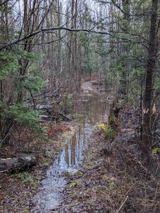 Flooded trail