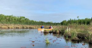 paddle thru to Wood