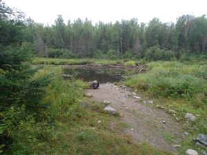 Portage 480 - False Landing