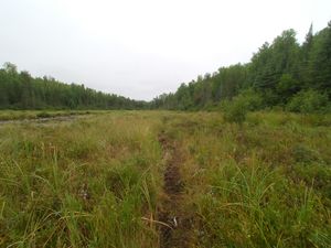 Portage 480 - Bog Walk