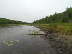 Portage 480 - Wind Landing